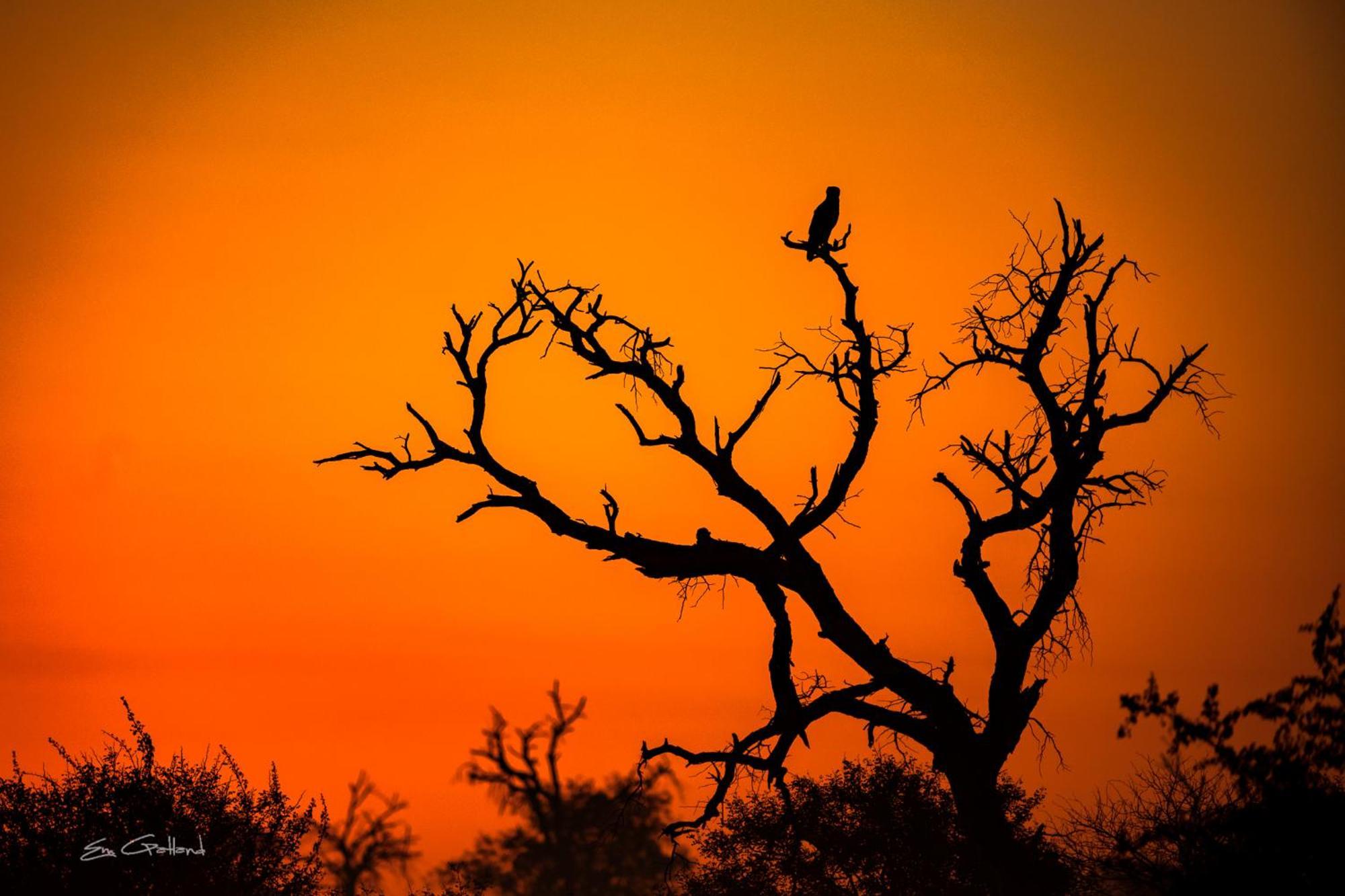 クラセリー・プライベート自然保護区 Africa On Footヴィラ エクステリア 写真