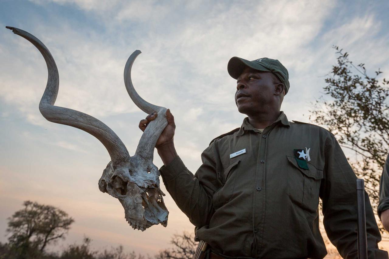 クラセリー・プライベート自然保護区 Africa On Footヴィラ エクステリア 写真